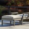 Visola - Gray - Chaise Lounge with Cushion