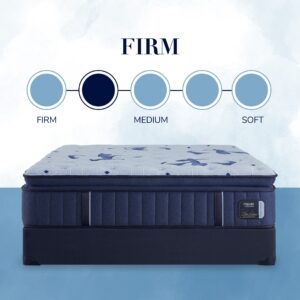 Estate - Firm Euro Pillowtop Mattress - Queen