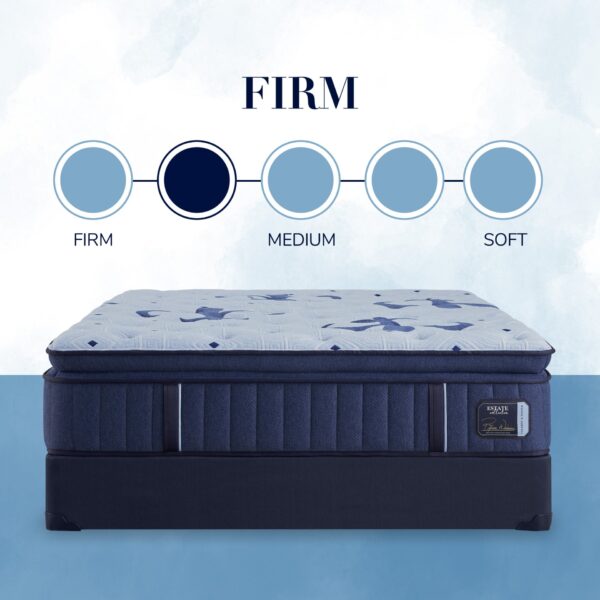 Estate - Firm Euro Pillowtop Mattress - Queen