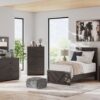 Prendonea - Charcoal - Two Drawer Night Stand