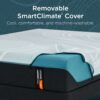 Adapt - Tempur-Proadapt Firm Mattress - Queen