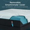 Adapt - Tempur-Proadapt Soft Mattress - Queen