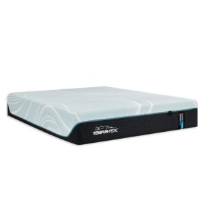 Tempur-Adapt - ProAdapt Soft Mattress - Queen